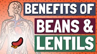 Eat Beans amp Lentils Every Day for Incredible Health Benefits [upl. by Noak]