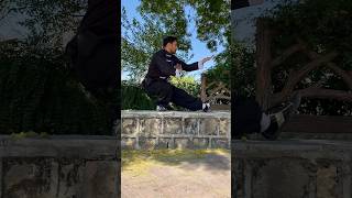 ip man wing chun style  Chinese kung fu  martial arts wingchun boxing  modern kungfu shorts [upl. by Ylenaj]