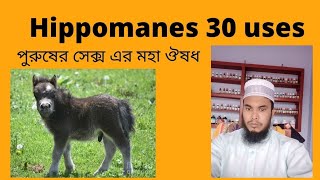 Hippomanes 30 200 uses in bengali  ginseng q homeopathic medicine uses [upl. by Brana278]