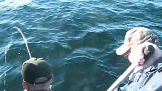 Killer Coho Salmon Fishing Ketchikan Alaska [upl. by Brote]