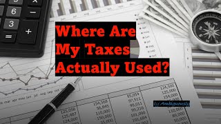 Who Actually Pays the 175T in Federal Taxes [upl. by Alrahs]