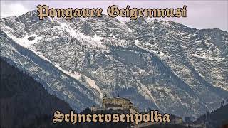 Pongauer Geigenmusi  Schneerosenpolka [upl. by Ephram]