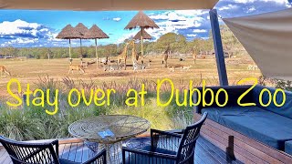 Dubbo Zoo Overnight Stay 4K [upl. by Justinian]