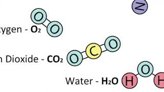 Determine the difference between Molecules and Compounds  uses in current UK Nuclear Power Stations [upl. by Aik]