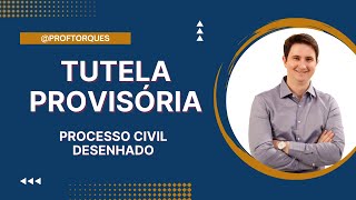 Tutela Provisória  Processo Civil Desenhado [upl. by Eejan]