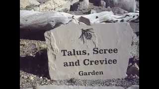 Talus Scree and Crevice garden on Mount Goliath Colorado [upl. by Annotahs]