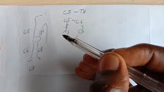 Easy Trick Upper Limb Dermatomes [upl. by Ibor]