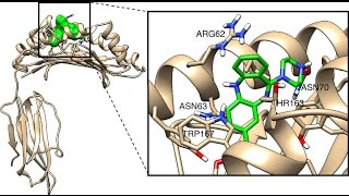 Clozapine induced Agranulocytosis [upl. by Nibram]