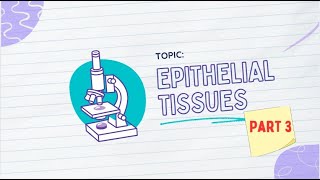 HISTOLOGY 101 EPITHELIAL TISSUES PART 3 [upl. by Druce]