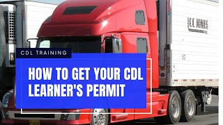 How to get your CDL Learners Permit in Florida [upl. by Winn689]