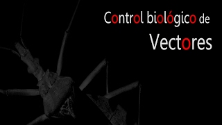 Control biológico de vectores [upl. by Zimmerman692]