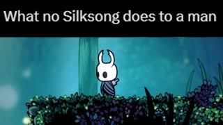 The Hollow Knight Community is a Bit Silly [upl. by Lamar]