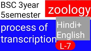 BSC 2nd year 3 semester zoology topic process of Transcription [upl. by Dionne]