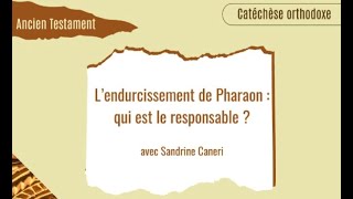 Lendurcissement de Pharaon  qui est le responsable  par Sandrine Caneri [upl. by Liagaba]