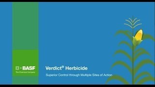 Verdict® Herbicide Superior Control through Multiple Sites of Action [upl. by Kotto]