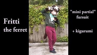 Fritti the ferret partial fursuit premiere [upl. by Ocsicnarf]