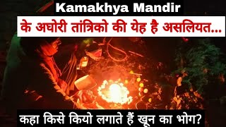 Kamakhya Mandir Ke Aghori Tantrik Ka Asliyat  Kya Black Magick Hota Hain [upl. by Annetta]