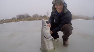 Ice Fishing for HUGE Sturgeon  Catch n Cook Sturgeon Over an Open Fire [upl. by Callahan751]