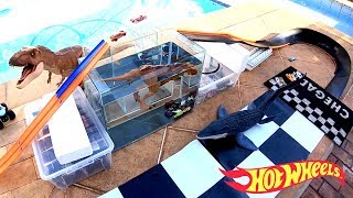 Hot Wheels Pista Jump Tiranossauro no Aquário  Carrinhos 108 [upl. by Spieler]