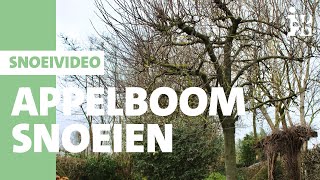 Intratuin  Appelboom snoeien [upl. by Wemolohtrab]