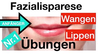 Nr1 Gesichtslähmung verbessern 4 Übungen für Lippen  Wangen Fazialisparese AnfängerDehnungen [upl. by Notnroht103]