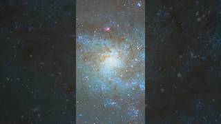 i captured triangulum Galaxy M33 from my telescope astrophotography shortsfeed youtubeshorts [upl. by Nogaem]