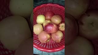 Simple and easy Apples marmaladeapples jam recipe  shorts youtube short video [upl. by Dorita438]