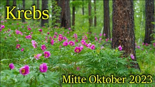 ♋ Krebs  Mitte Oktober 2023 ♋  Unabhängigkeit [upl. by Nibas358]