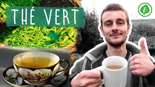 Le THÉ VERT  Boisson Miracle  Bienfaits amp Vertus [upl. by Enybor]