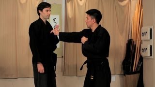 How to Do the Ura Gyaku Technique  Ninjutsu Lessons [upl. by Tome782]