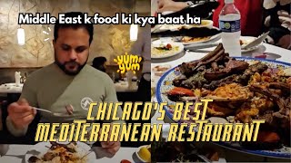 Fattoush Restaurant Chicago  Middle Eastern amp Mediterranean Cuisine Food Vlog [upl. by Ellennahc505]