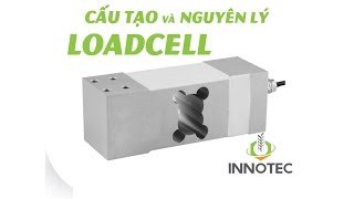 Cấu tạo và nguyên lý của Loadcell  Cảm biến trọng lượng║ INNOTEC Việt Nam [upl. by Epstein]