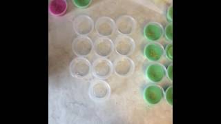 How to make scented wax shots for your wax warmer [upl. by Schroer476]