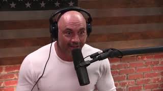 Joe Rogan on Striking vs BJJ In Street Fights [upl. by Odlonyer15]