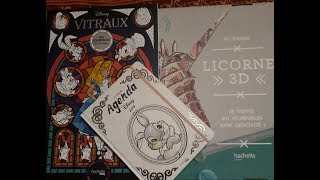 Haul livres de coloriages de lillustrateur JeanLuc Guérin [upl. by Mercola]