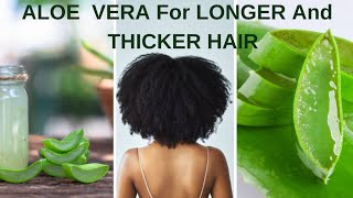 Unlock Longer Hair with Aloe Vera [upl. by Onnem]