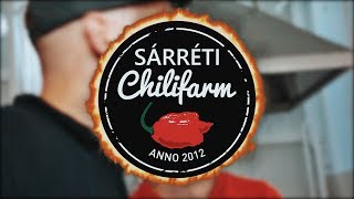 Így készül a chili szósz  Sárréti Chilifarm 🌶  Lovász Domi 🍍  Miska Christopher 📹 [upl. by Nowyt]