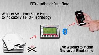 Intercomp RFX Wireless Scale Systems with Bluetooth® Capability [upl. by Inalial]