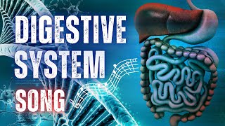 The Digestive System Song with Lyrics [upl. by Abshier]