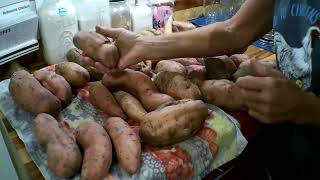 HOW TO COLDRAW PACKING CANNED SWEET POTATOESWHITE POTATOES 101 W TIPS PERSERVING HOMESTEAD VLOG [upl. by Haodnanehs]