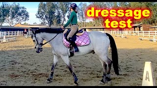 Beginner NOVICE DRESSAGE Test A  USEF Eventing learn more Video [upl. by Enitnelav568]