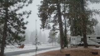 Snowing at Yosemite Lakes RV park [upl. by Oswin]