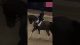 Valegro 😍 equestrain equestrainlife equines edit horse [upl. by Jennings809]