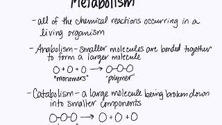 Dehydration synthesis and hydrolysis Reactions [upl. by Medardas241]