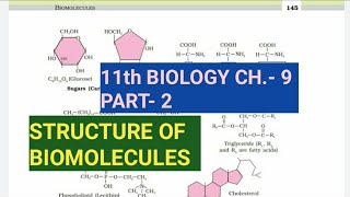 Class 11 BiologyCh9 Part2Structure of biomoleculesStudy with Farru [upl. by Ordnassela]