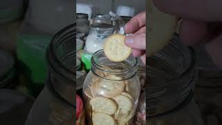 Taste Test from batch 12022 Ritz Crackers using a Brake Bleeder  Save Money Tips  Prepper Pantry [upl. by Klehm324]