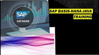 SAP BASIS  HANAJAVA  DEMO [upl. by Magnum746]