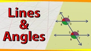 Lines and Angles  Geometry  Math  Letstute [upl. by Bainter]