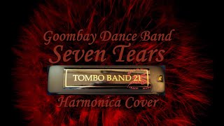 Seven Tears  Goombay Dance Band  Harmonica Cover [upl. by Leiuqese]