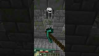 Wildest Seed vs Troll Face Reaction meme minecraft shorts [upl. by Irrem]